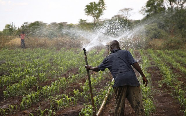 irrigation_malawi