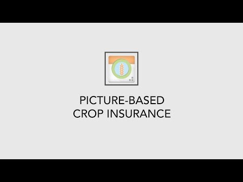 Picture-Based Crop Insurance (PBI)