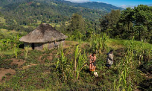 2023 PNG Rural Household Survey: Report Launch